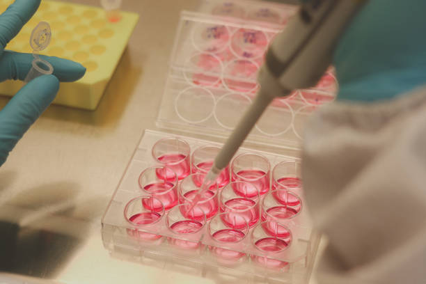 Eco-Friendly Sources of Cetearyl Alcohol in Personal Care Products